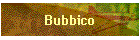 Bubbico