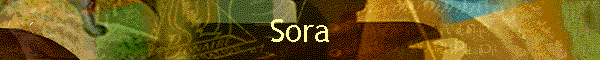 Sora