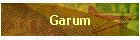 Garum