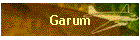 Garum