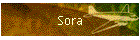 Sora