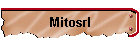 Mitosrl