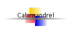 Calamandrei