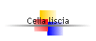 Cella liscia