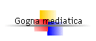 Gogna mediatica