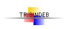 TRIBINDEB