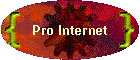 Pro Internet